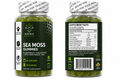 Hawk Sea Moss Gummies