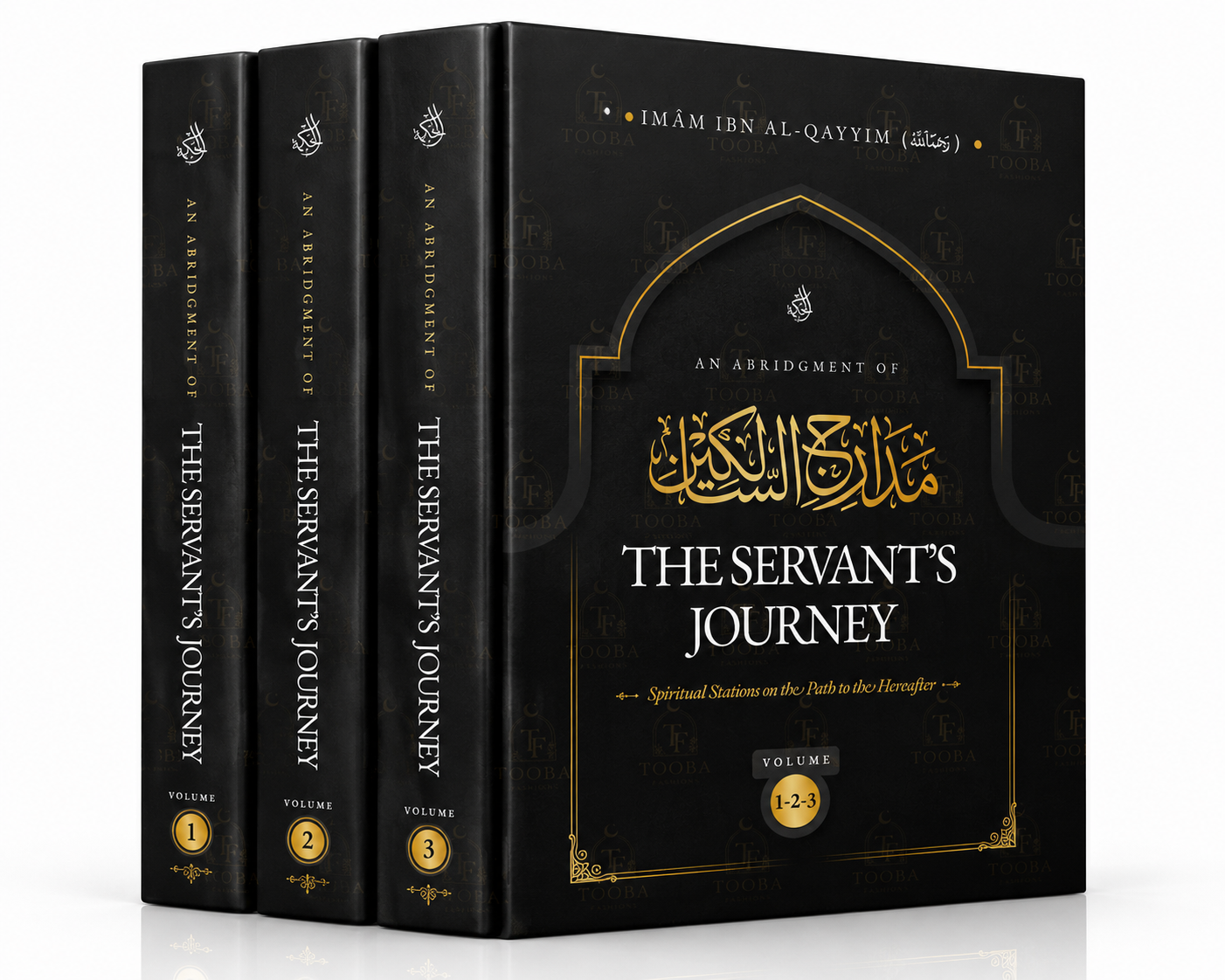 The Servant's Journey Book 1, 2 & 3